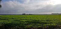 20200926_102025