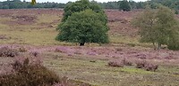 20200927_114441