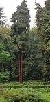 20200927_101045