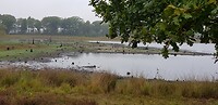 20200928_101952