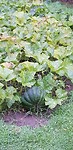 20200929_080858