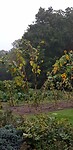20200929_080326