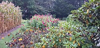 20200929_080225