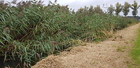 20200930_115750(0)