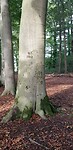 20200930_104801