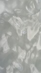 4B19A1D3-EBB8-45E5-871F-A8A8B37A0D02