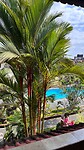 IMG_5026