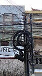 IMG_5067