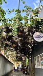 IMG_5068