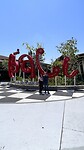 IMG_5018