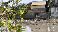 IMG_5045