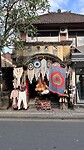 IMG_5054