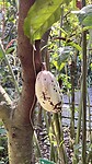 IMG_5089