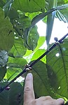 IMG_5090