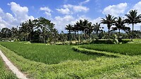 IMG_5122