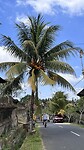IMG_5134