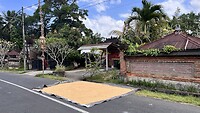 IMG_5135