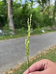 IMG_5139