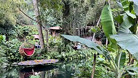 IMG_5153