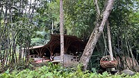 IMG_5154