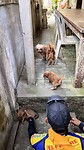 IMG_5163