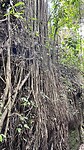 IMG_5168