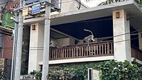 IMG_5172