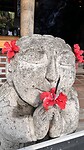 IMG_5186