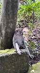 IMG_5197