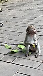 IMG_5214