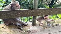 IMG_5227