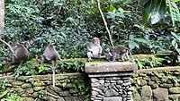 IMG_5204