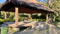 IMG_5351