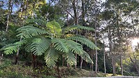 IMG_5357
