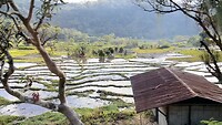 IMG_5360