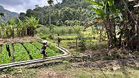 IMG_5393