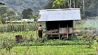 IMG_5396