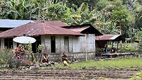 IMG_5401