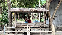 IMG_5403