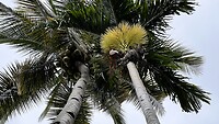 IMG_5413