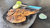 IMG_5442