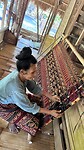 IMG_5268
