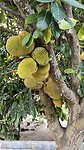 IMG_5308