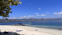 IMG_5502
