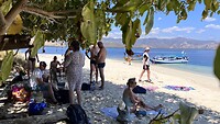 IMG_5503