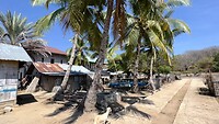 IMG_5646