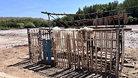 IMG_5649