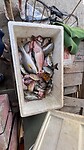 IMG_5657