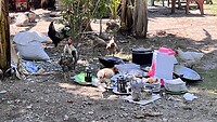IMG_5670