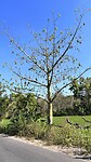 IMG_5679